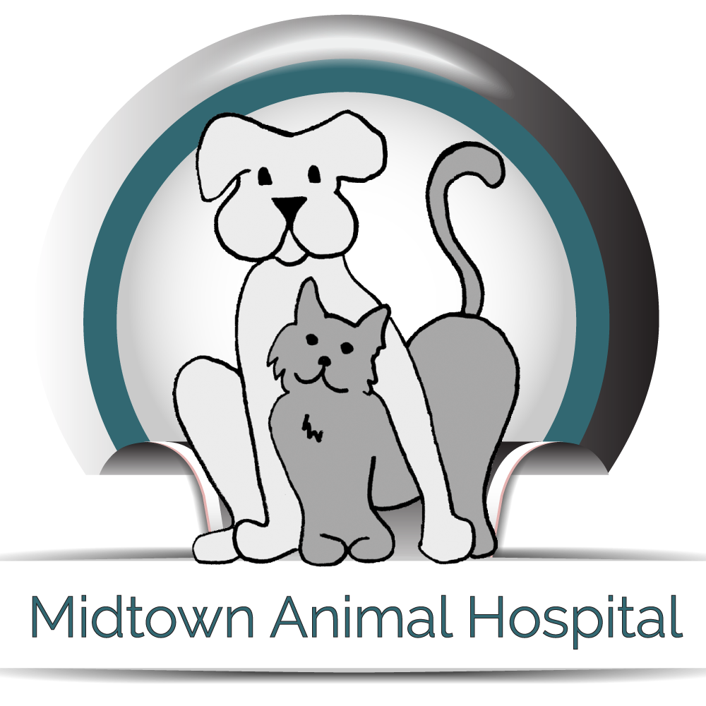 Midtown Animal Hospital Home