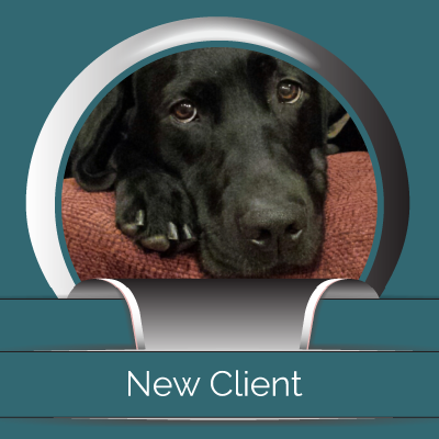 New Clients - Midtown Animal Hospital - Sacramento, CA