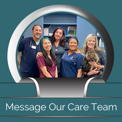 Message Our Care Team - Midtown Animal Hospital - Sacramento, CA